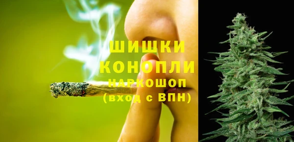 прущие грибы Елабуга