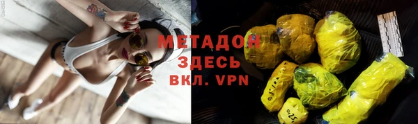 прущие грибы Елабуга