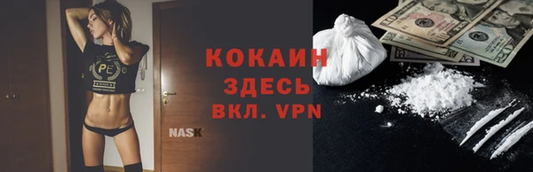 прущие грибы Елабуга