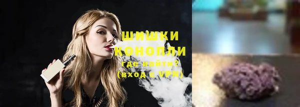 прущие грибы Елабуга