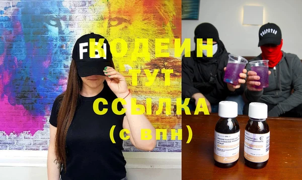 прущие грибы Елабуга