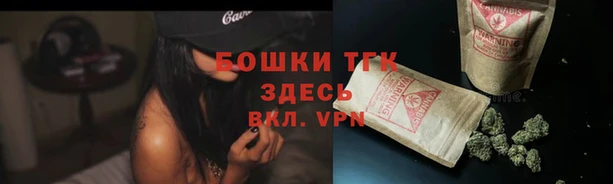 прущие грибы Елабуга