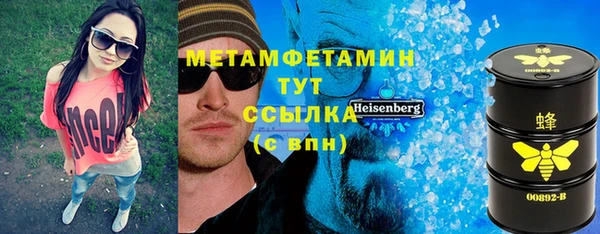 прущие грибы Елабуга