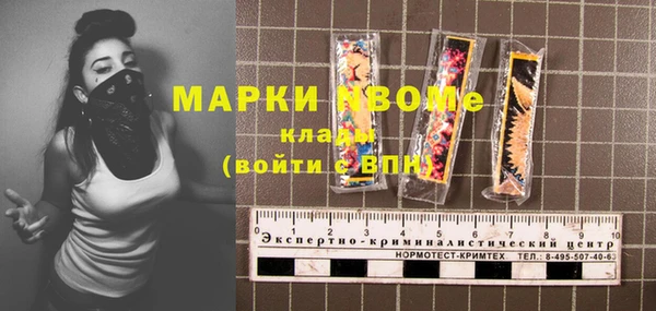 прущие грибы Елабуга