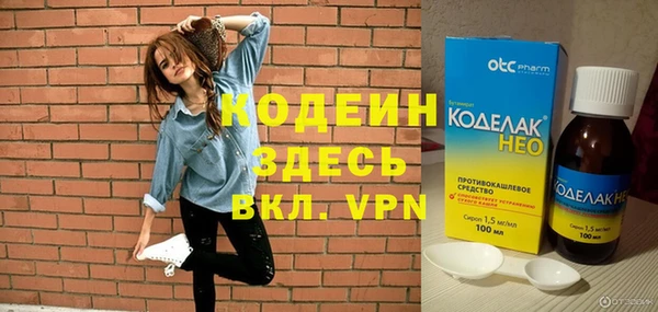 прущие грибы Елабуга