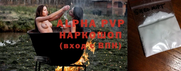 прущие грибы Елабуга