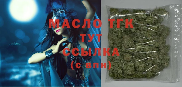 прущие грибы Елабуга