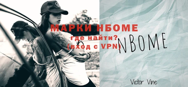 прущие грибы Елабуга