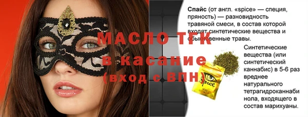 прущие грибы Елабуга