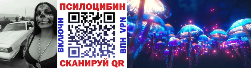 Псилоцибиновые грибы Cubensis  Купить  Тетюши 
